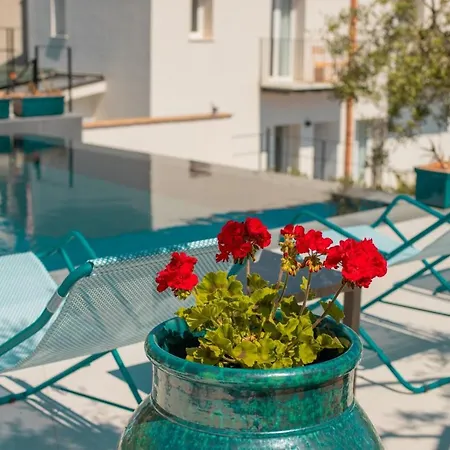 酒店 Toto 切法卢