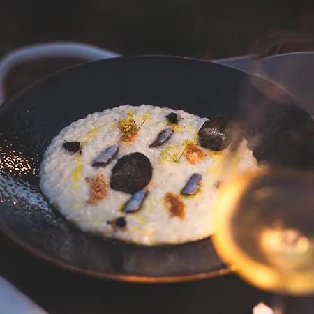 酒店 Toto 切法卢