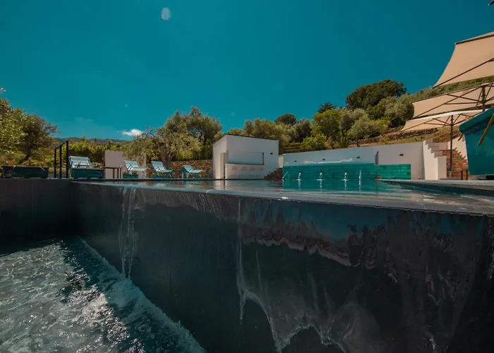 Toto تْشيفالو